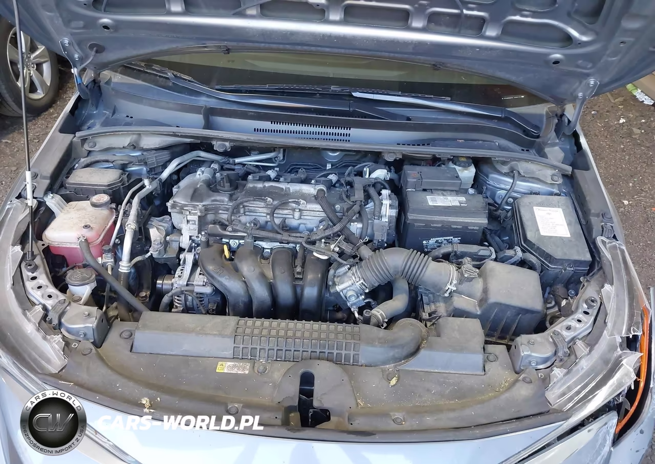 2020 Toyota Corolla Le VIN:JTDVPRAE9LJ093115 - 10