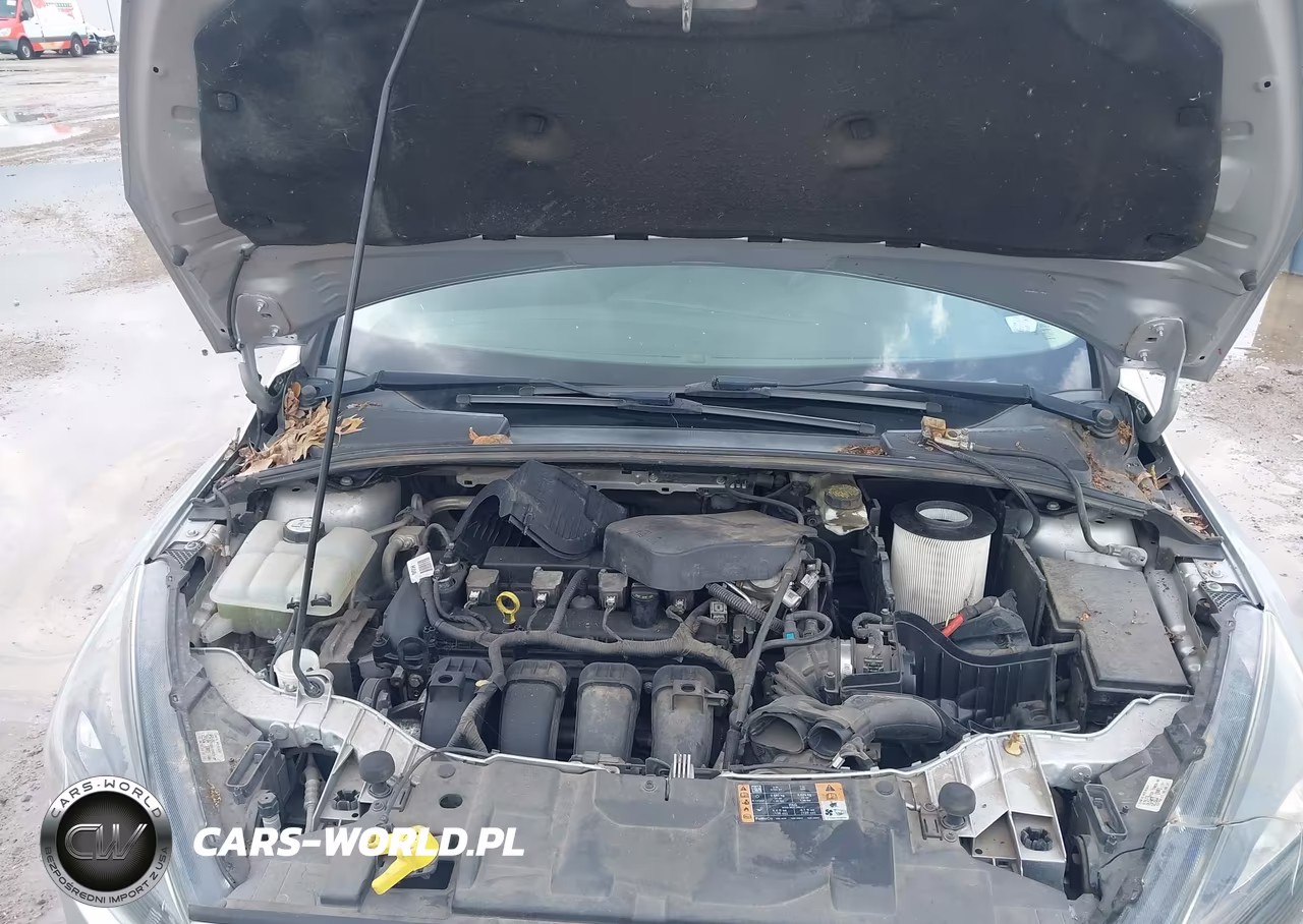 2018 Ford Focus Sel VIN:1FADP3M24JL244024 - 10