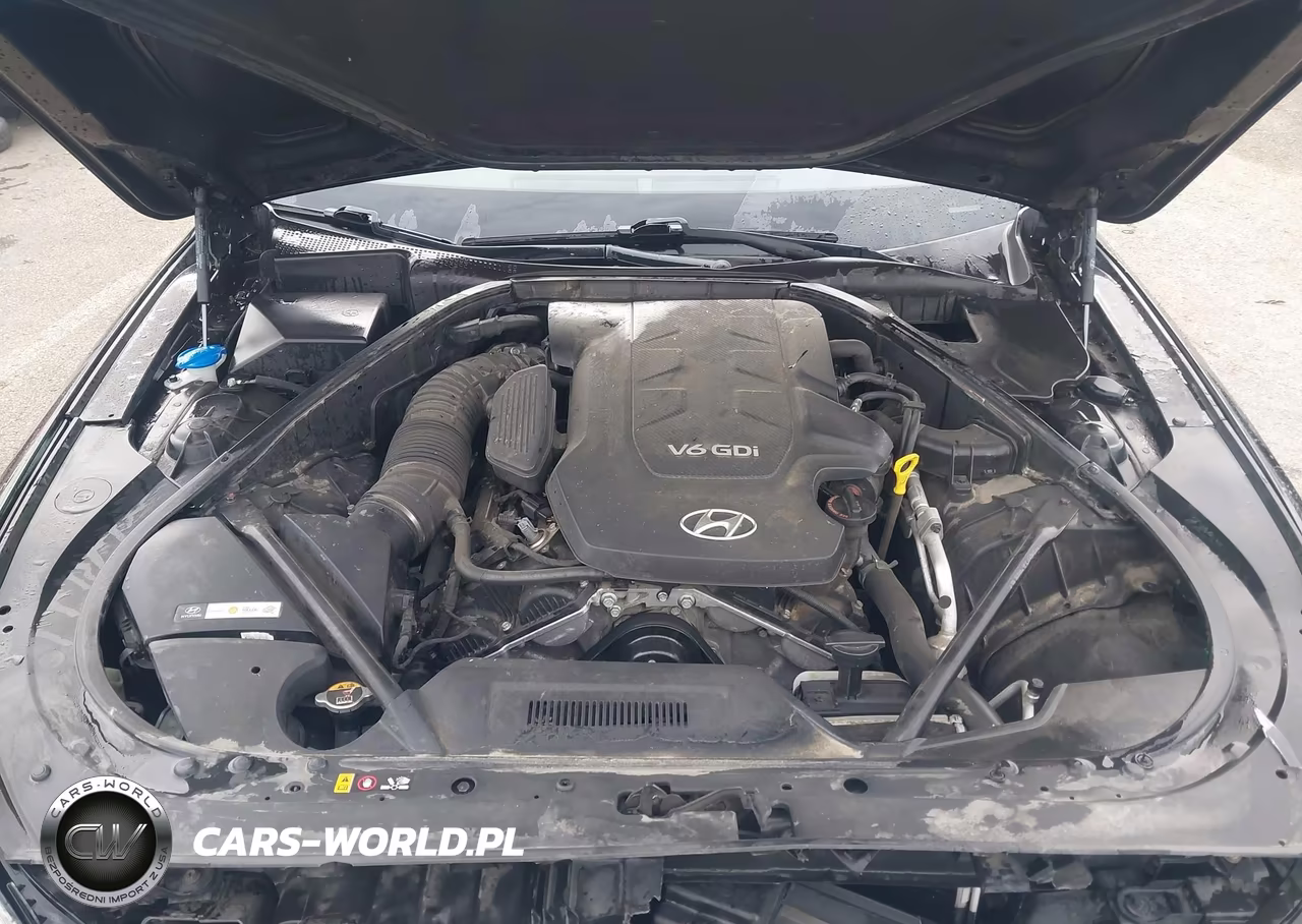 2016 Hyundai Genesis 3.8 VIN:KMHGN4JE5GU136446 - 10