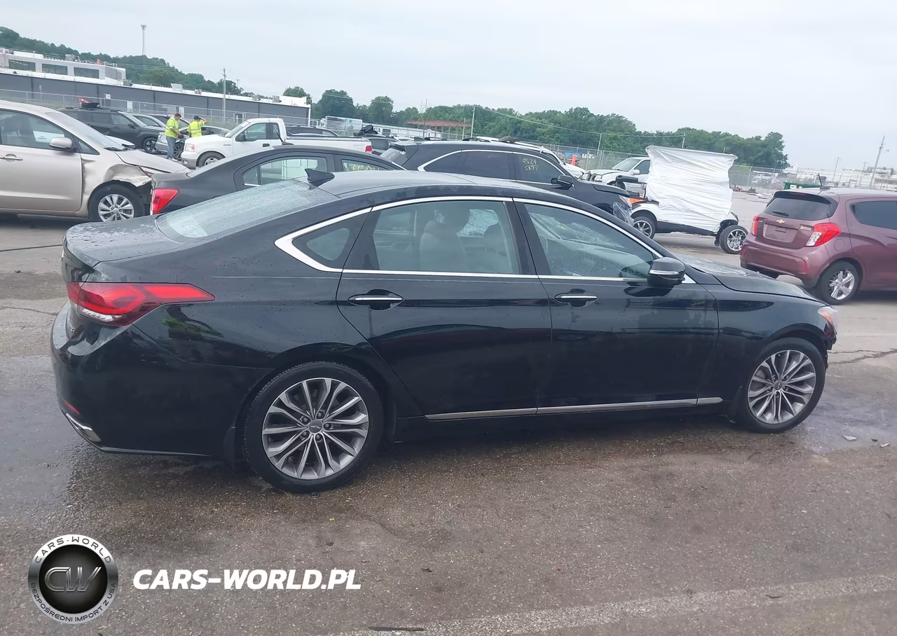 2016 Hyundai Genesis 3.8 VIN:KMHGN4JE5GU136446 - 13