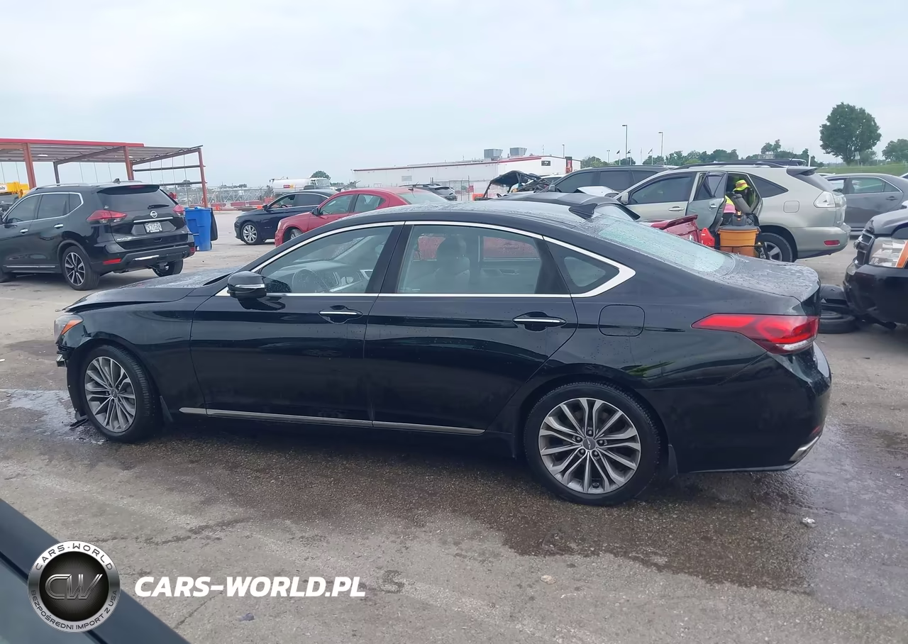 2016 Hyundai Genesis 3.8 VIN:KMHGN4JE5GU136446 - 14