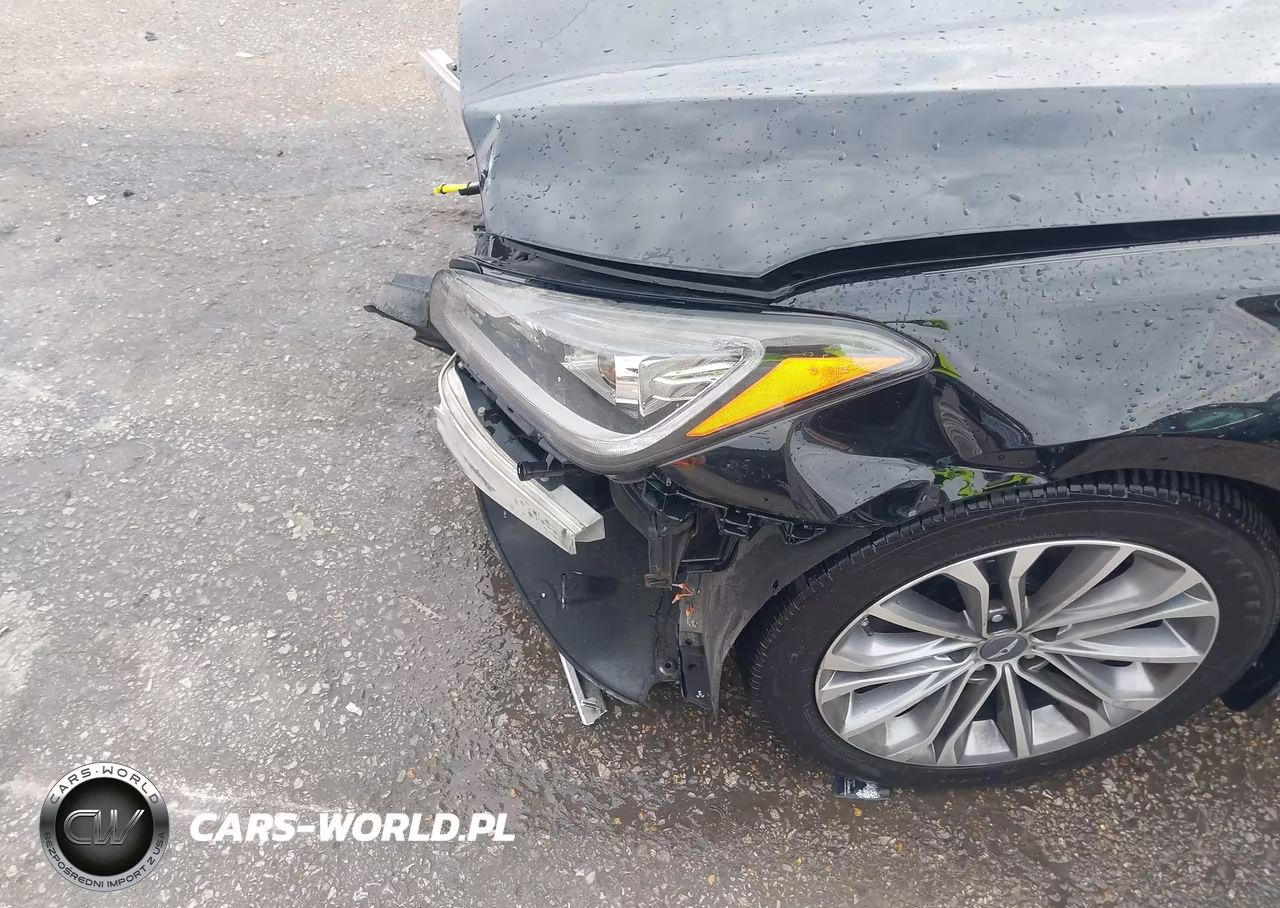 2016 Hyundai Genesis 3.8 VIN:KMHGN4JE5GU136446 - 17