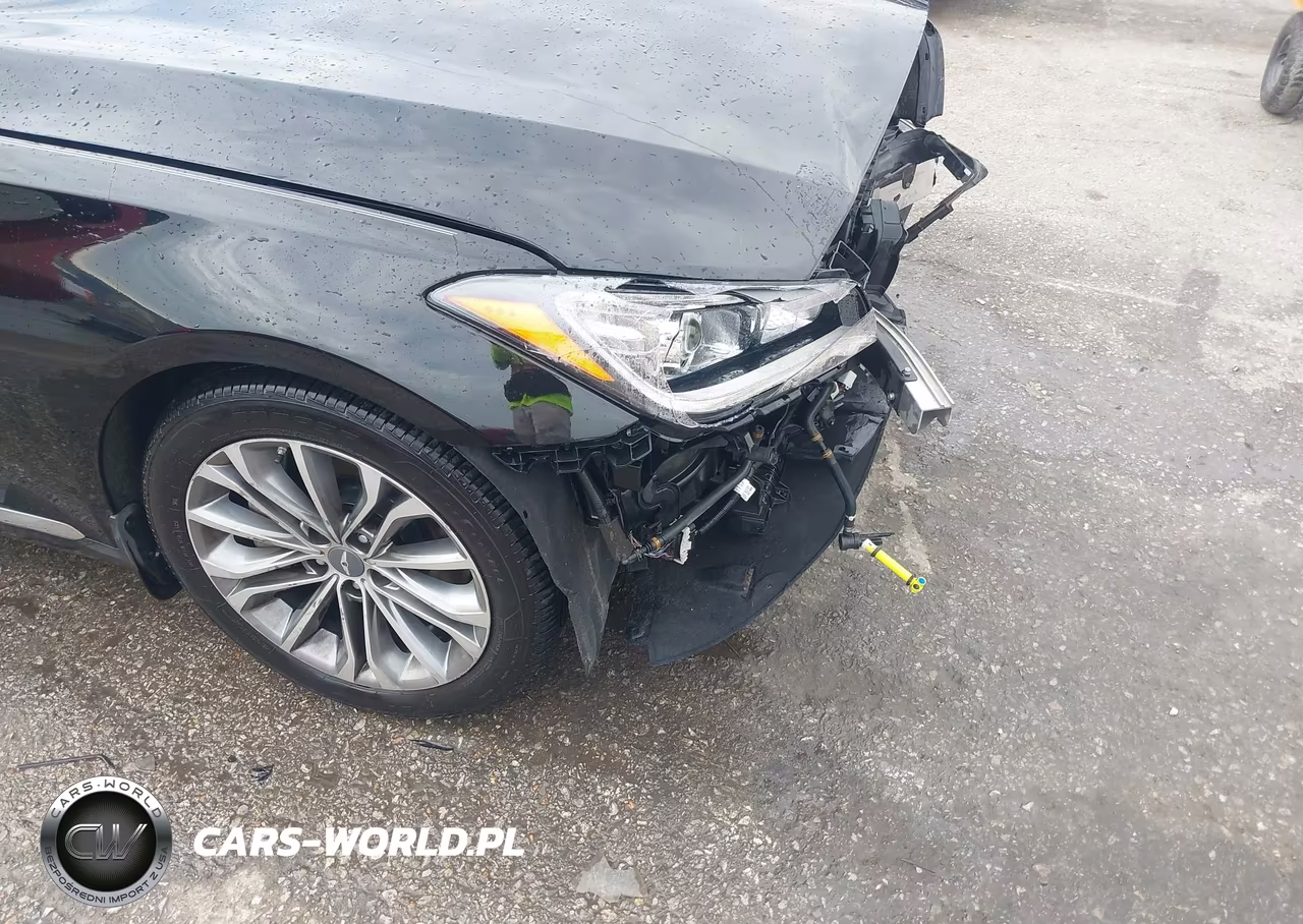 2016 Hyundai Genesis 3.8 VIN:KMHGN4JE5GU136446 - 18