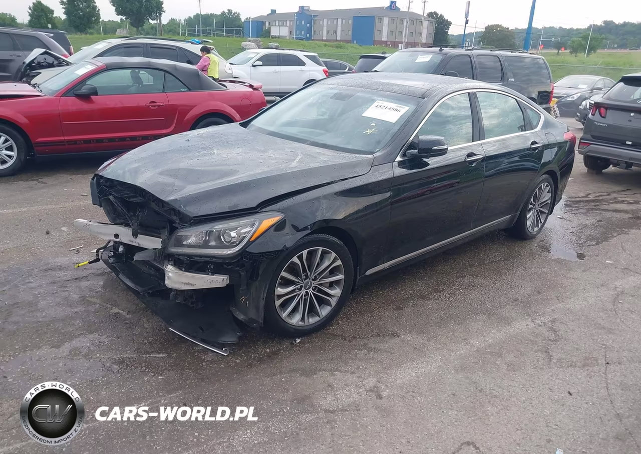 2016 Hyundai Genesis 3.8 VIN:KMHGN4JE5GU136446 - 2