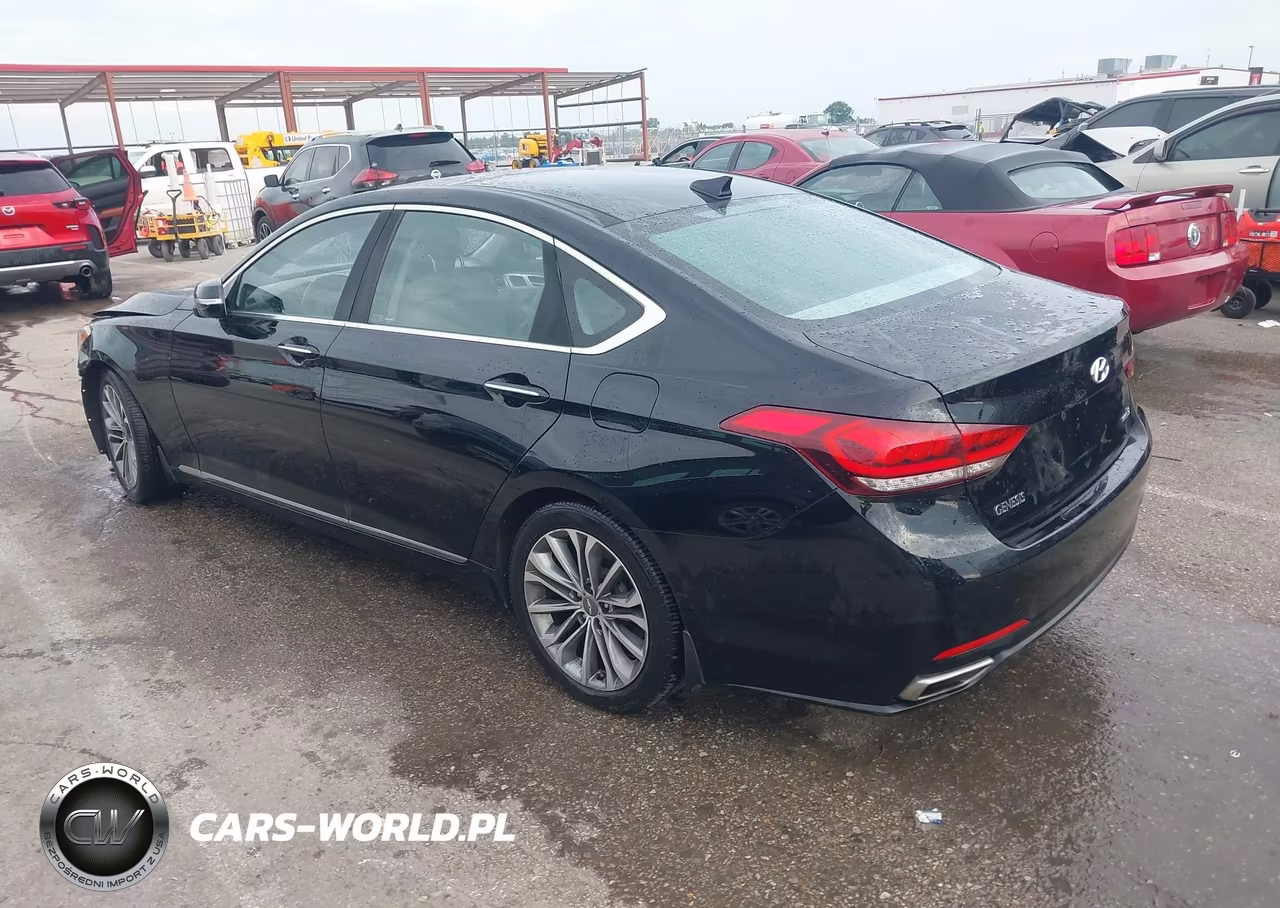2016 Hyundai Genesis 3.8 VIN:KMHGN4JE5GU136446 - 3