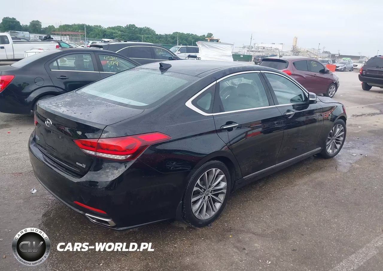 2016 Hyundai Genesis 3.8 VIN:KMHGN4JE5GU136446 - 4