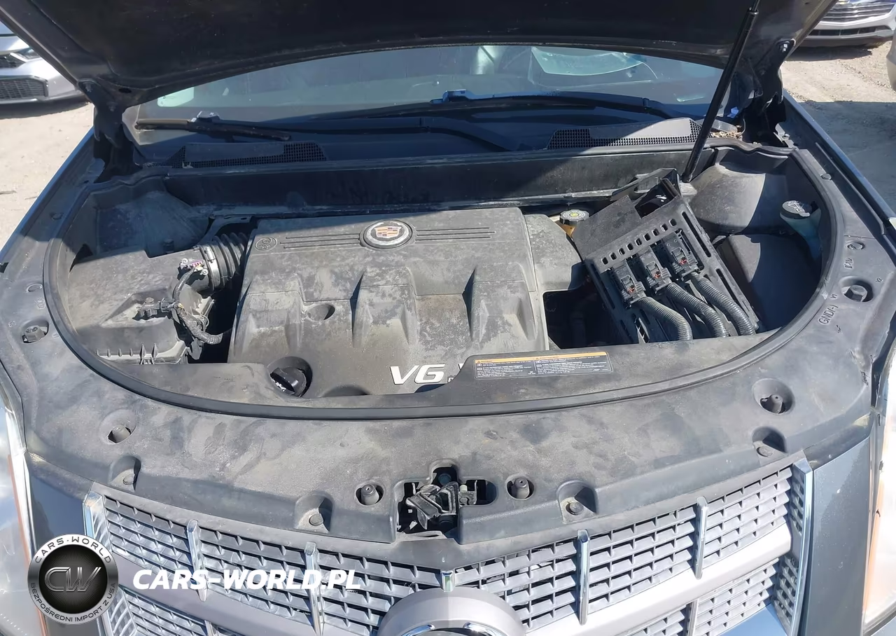 2011 Cadillac Srx Luxury Collection VIN:3GYFNAEY8BS541688 - 10