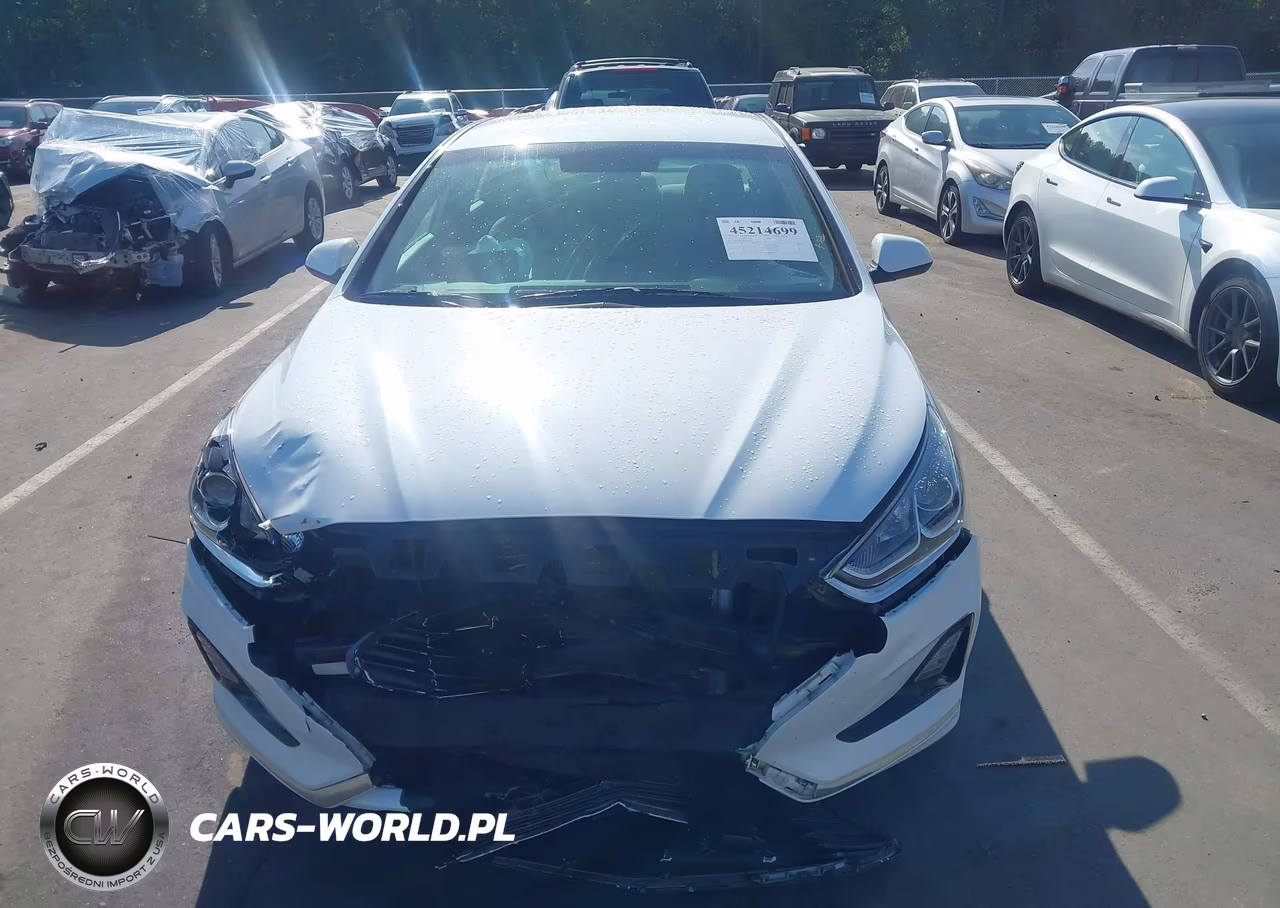 2019 Hyundai Sonata Se VIN:5NPE24AF0KH819980 - 12