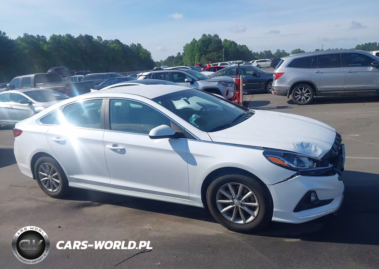 2019 Hyundai Sonata Se VIN:5NPE24AF0KH819980 - 13