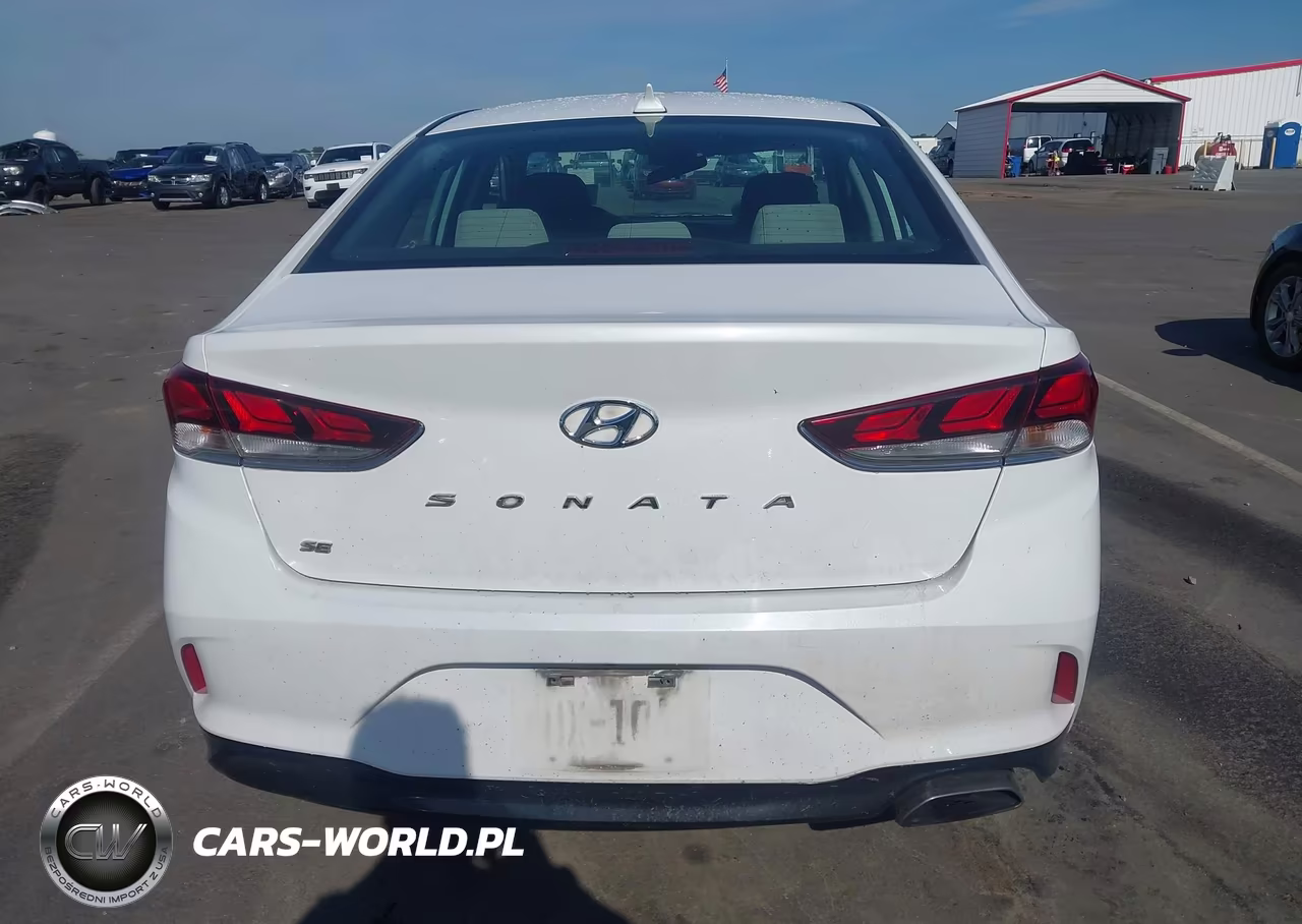 2019 Hyundai Sonata Se VIN:5NPE24AF0KH819980 - 16