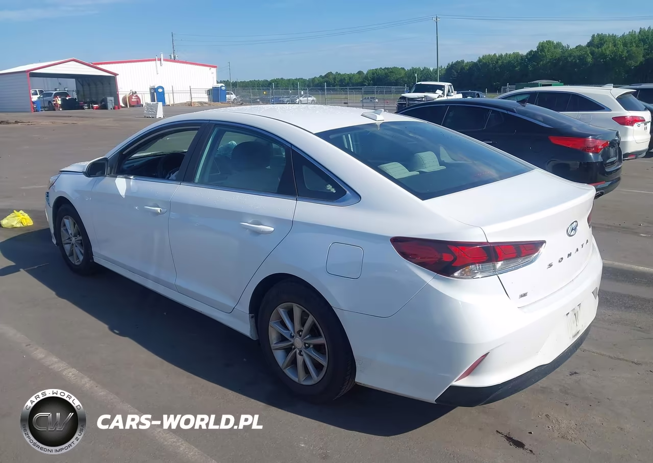 2019 Hyundai Sonata Se VIN:5NPE24AF0KH819980 - 3