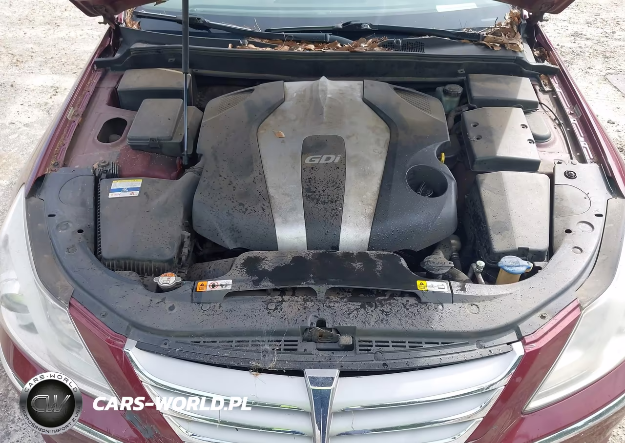 2012 Hyundai Genesis 3.8 VIN:KMHGC4DD7CU184856 - 10