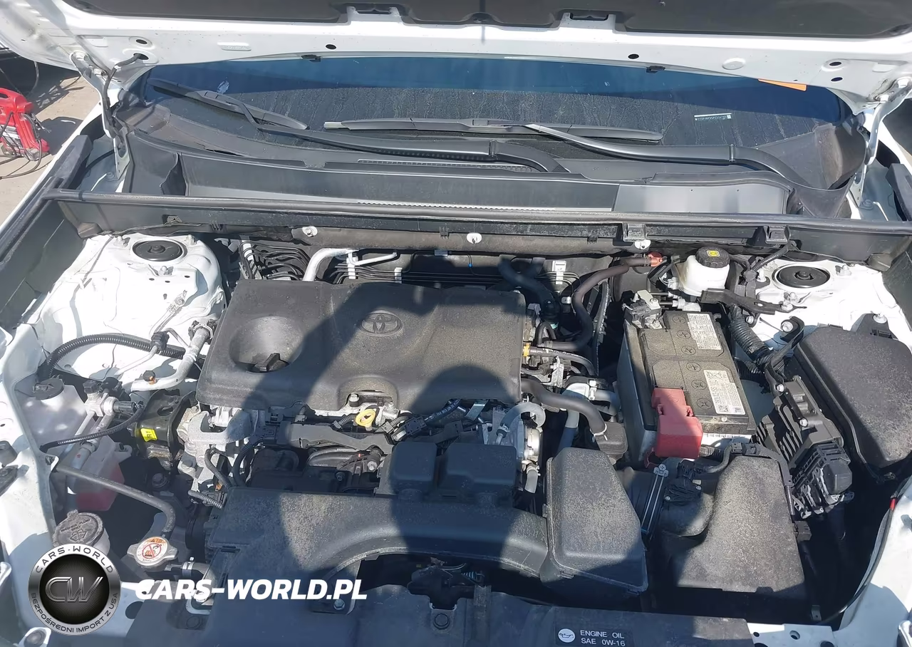 2023 Toyota Rav4 Xle VIN:2T3P1RFV5PC334793 - 10