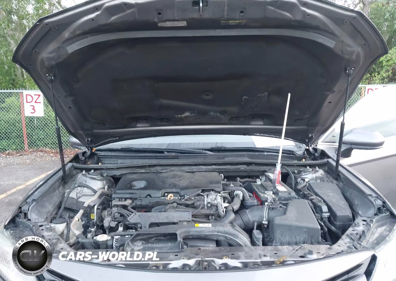 2019 Toyota Camry Le VIN:4T1B11HK1KU181103 - 10