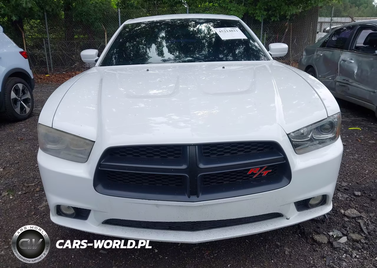 2013 Dodge Charger Road-Track VIN:2C3CDXCT2DH717781 - 12