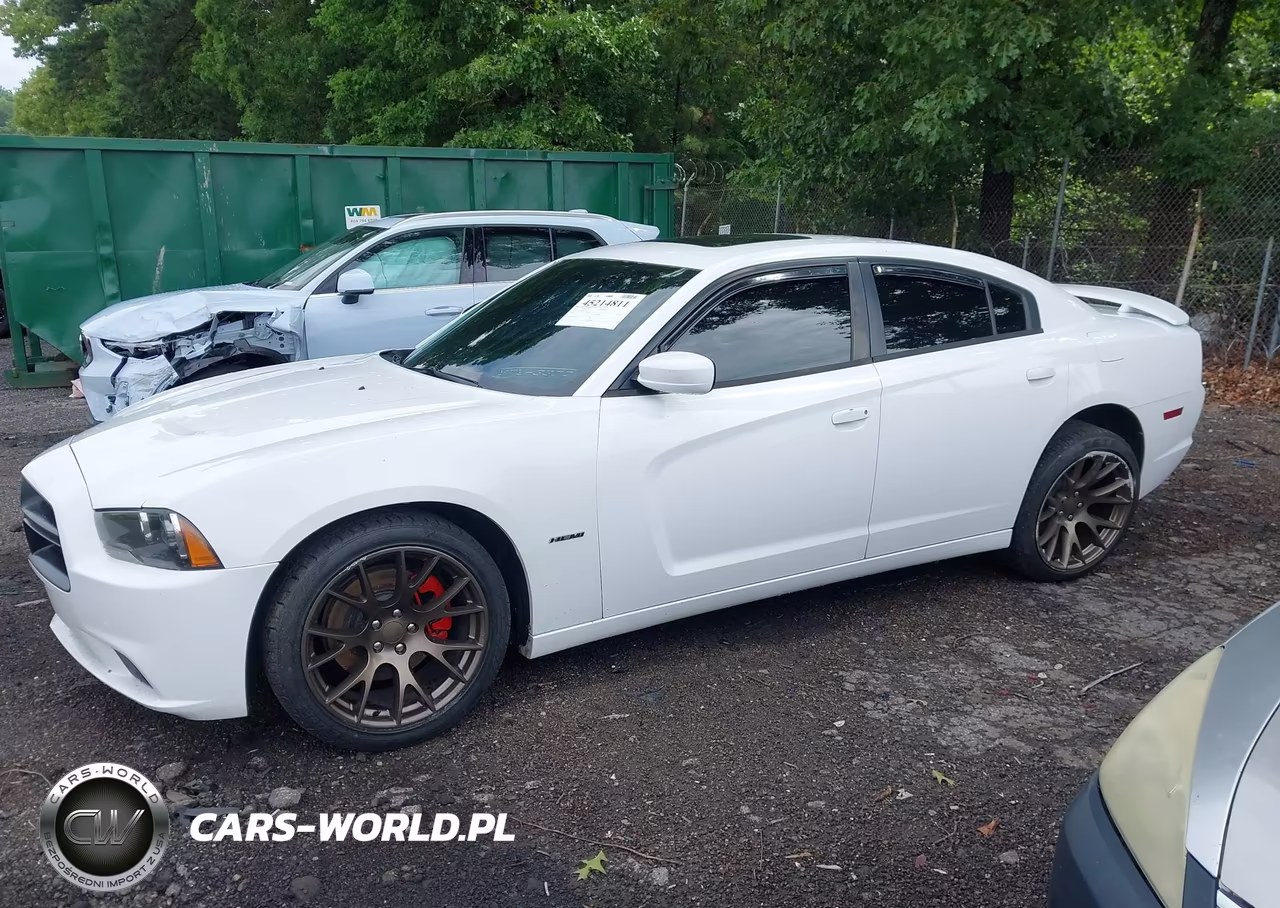 2013 Dodge Charger Road-Track VIN:2C3CDXCT2DH717781 - 14