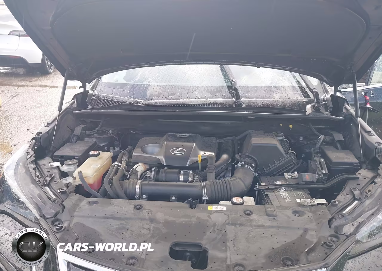 2020 Lexus Nx 300 VIN:JTJAARBZ8L5017411 - 10