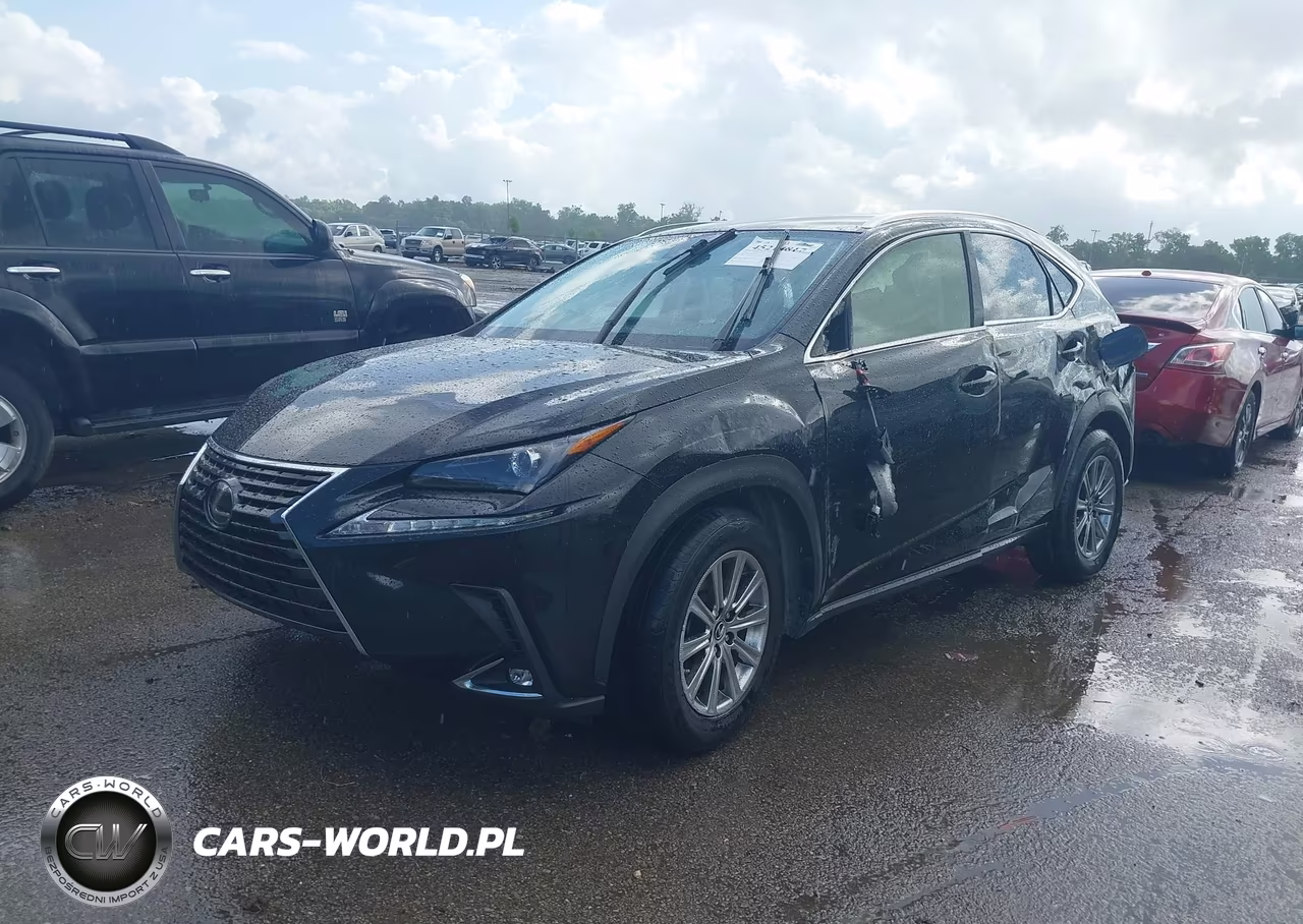 2020 Lexus Nx 300 VIN:JTJAARBZ8L5017411 - 2