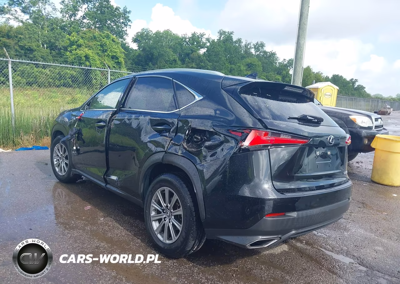 2020 Lexus Nx 300 VIN:JTJAARBZ8L5017411 - 3