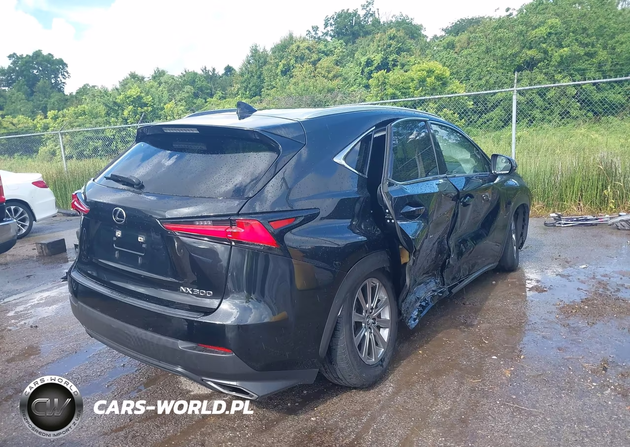 2020 Lexus Nx 300 VIN:JTJAARBZ8L5017411 - 4