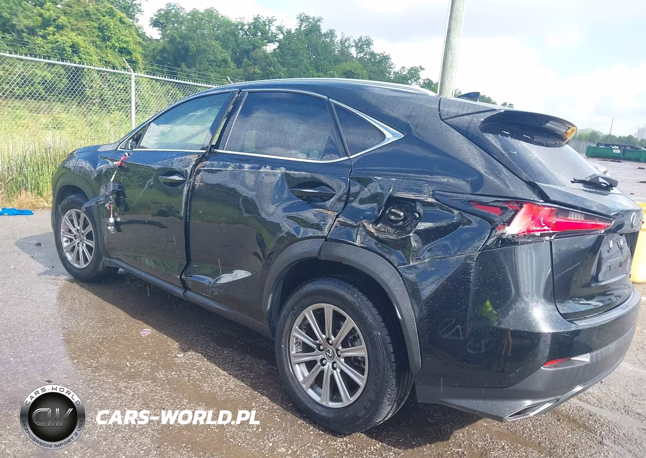 2020 Lexus Nx 300 VIN:JTJAARBZ8L5017411 - 6
