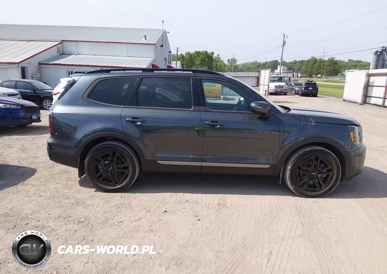 2023 Kia Telluride Ex X-Line VIN:5XYP3DGC9PG327384 - 13