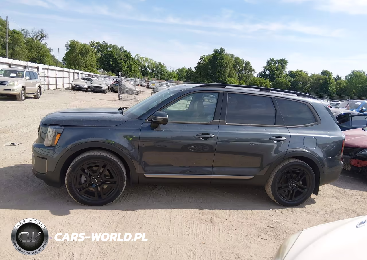 2023 Kia Telluride Ex X-Line VIN:5XYP3DGC9PG327384 - 14