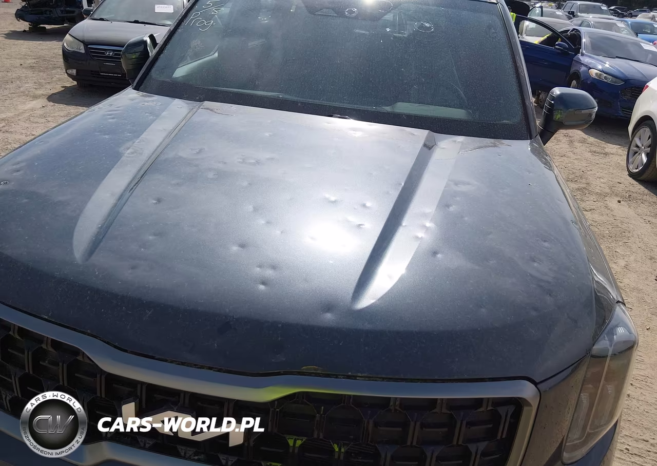 2023 Kia Telluride Ex X-Line VIN:5XYP3DGC9PG327384 - 17