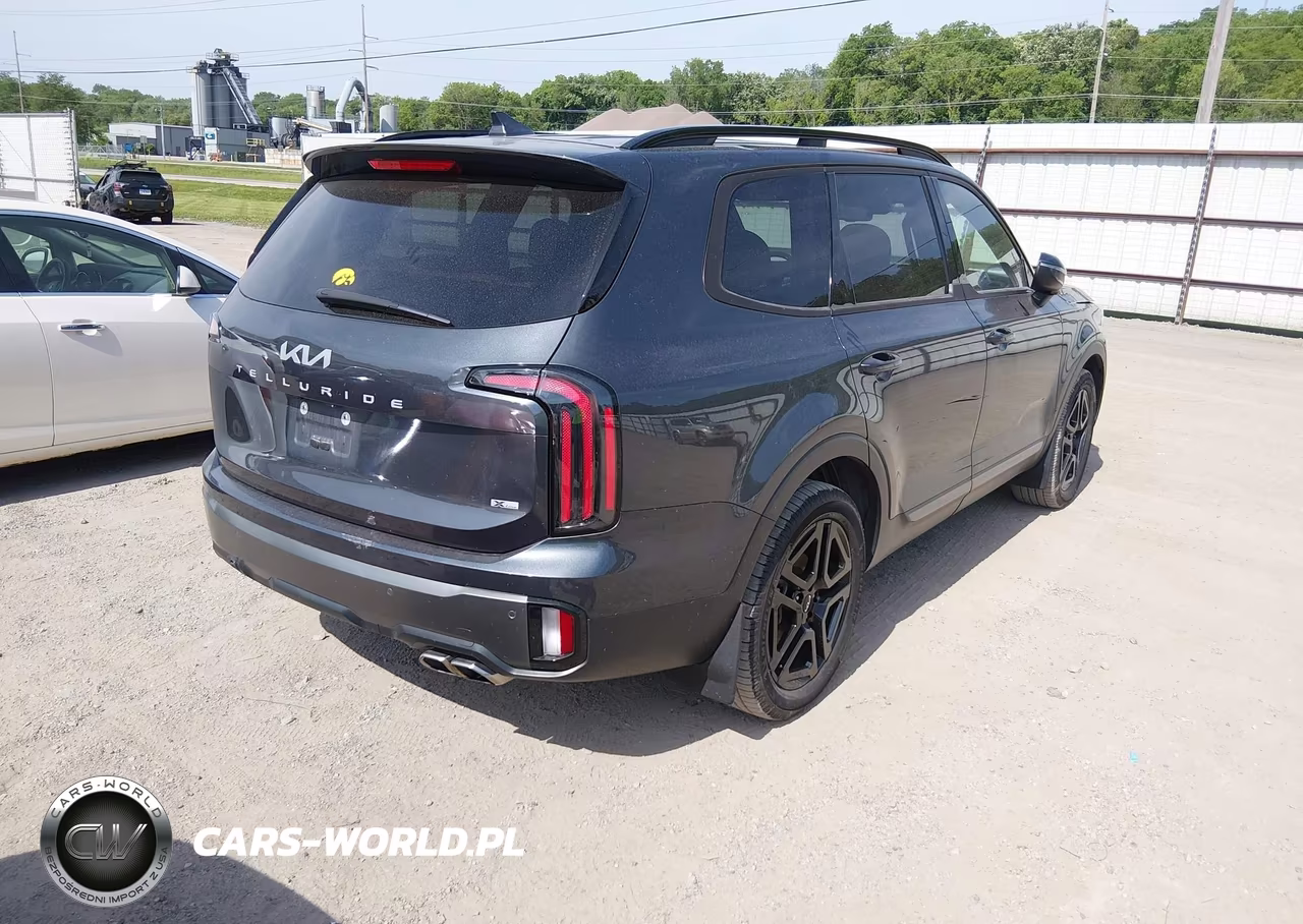 2023 Kia Telluride Ex X-Line VIN:5XYP3DGC9PG327384 - 4