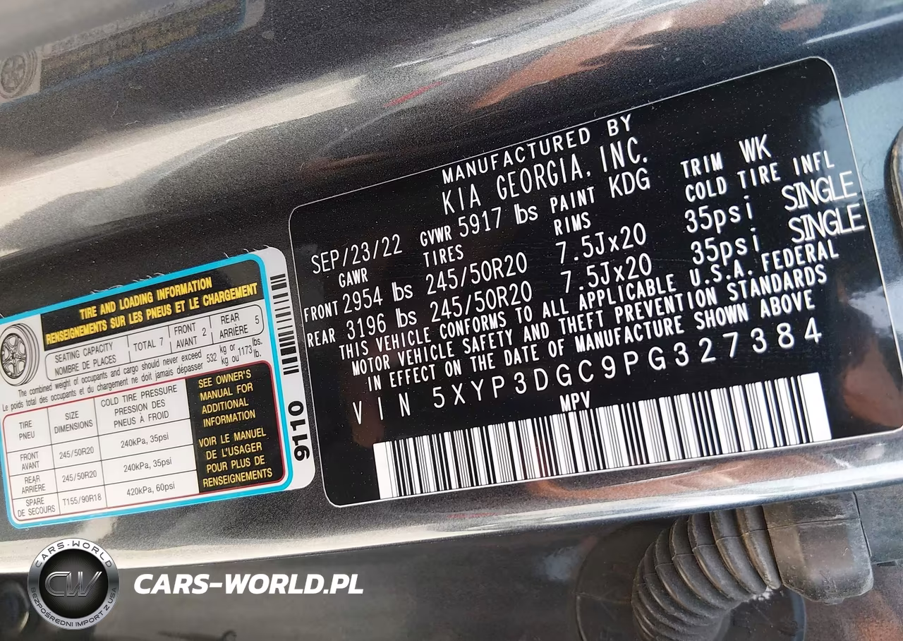 2023 Kia Telluride Ex X-Line VIN:5XYP3DGC9PG327384 - 9