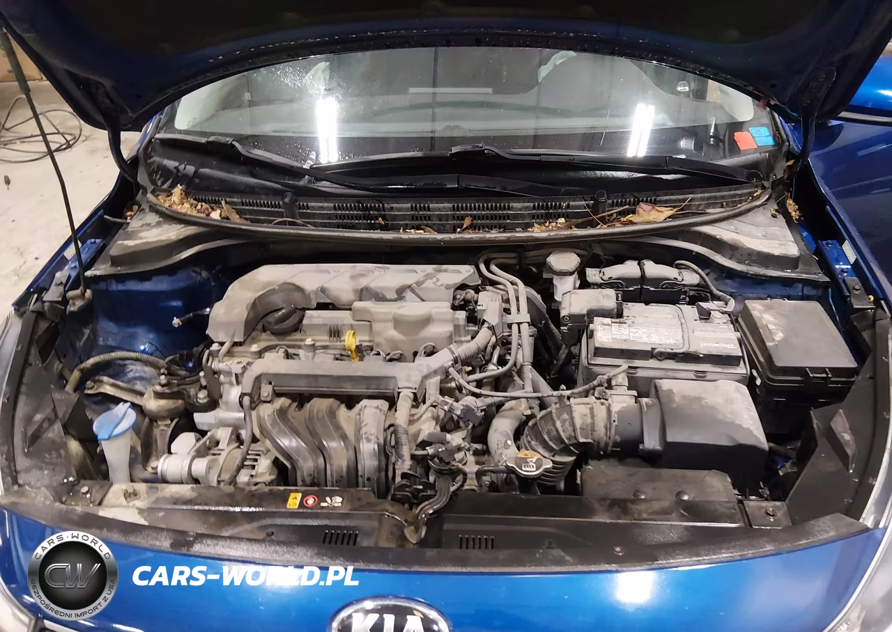 2020 Kia Rio 5-Door S VIN:3KPA25AD3LE348982 - 10