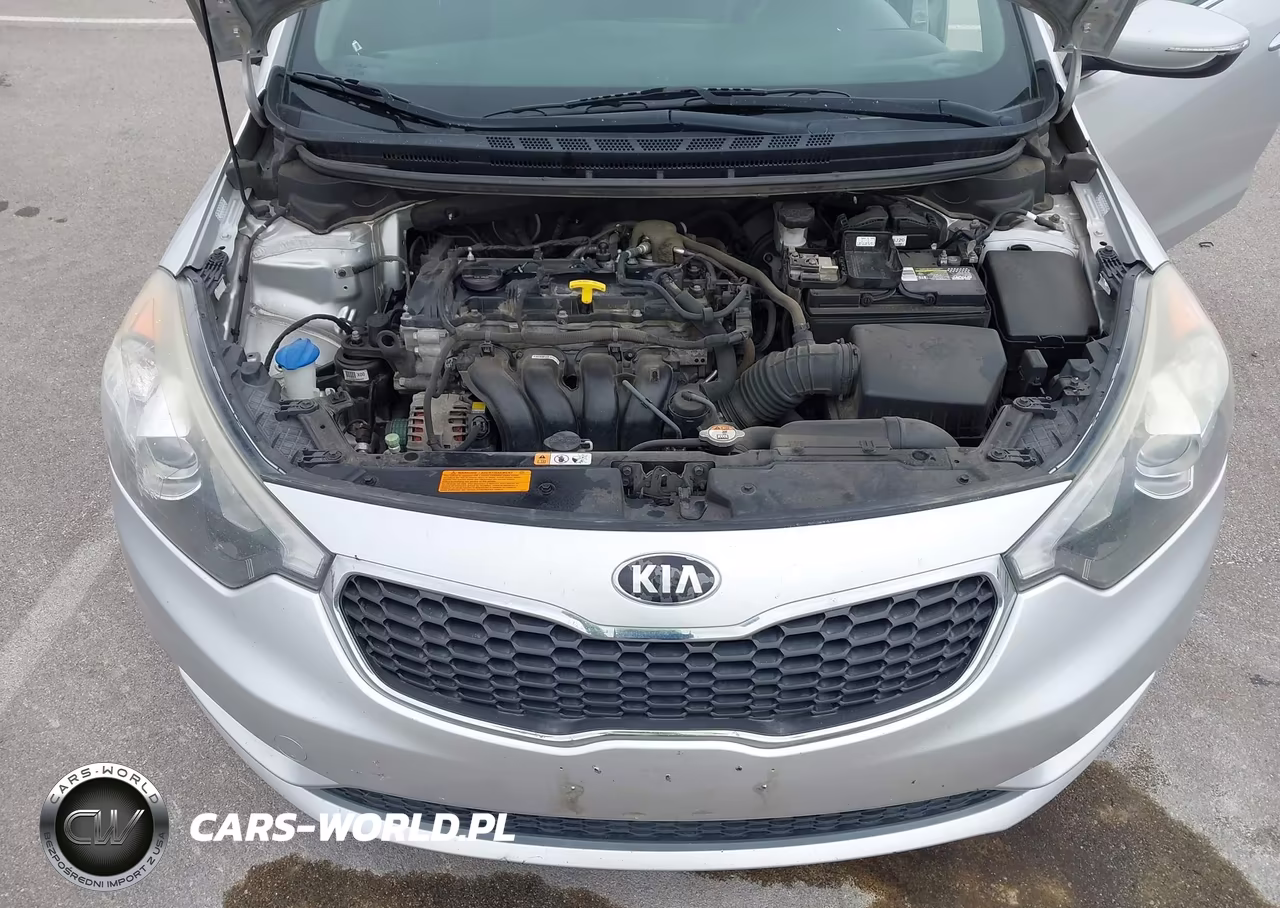 2014 Kia Forte Ex VIN:KNAFX4A80E5124794 - 10