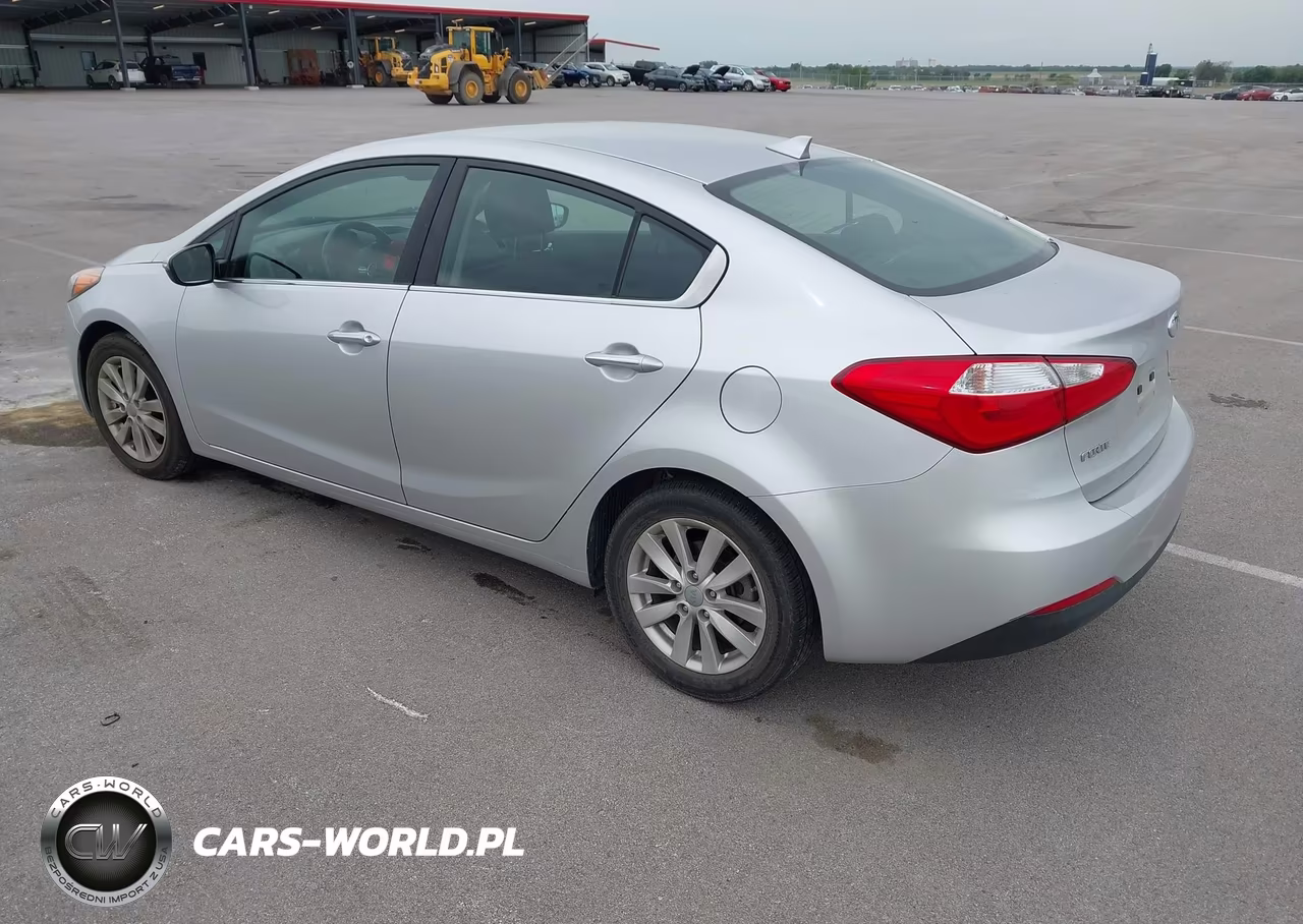 2014 Kia Forte Ex VIN:KNAFX4A80E5124794 - 3