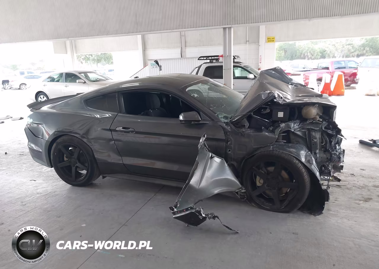 2019 Ford Mustang Ecoboost VIN:1FA6P8TH1K5173432 - 14