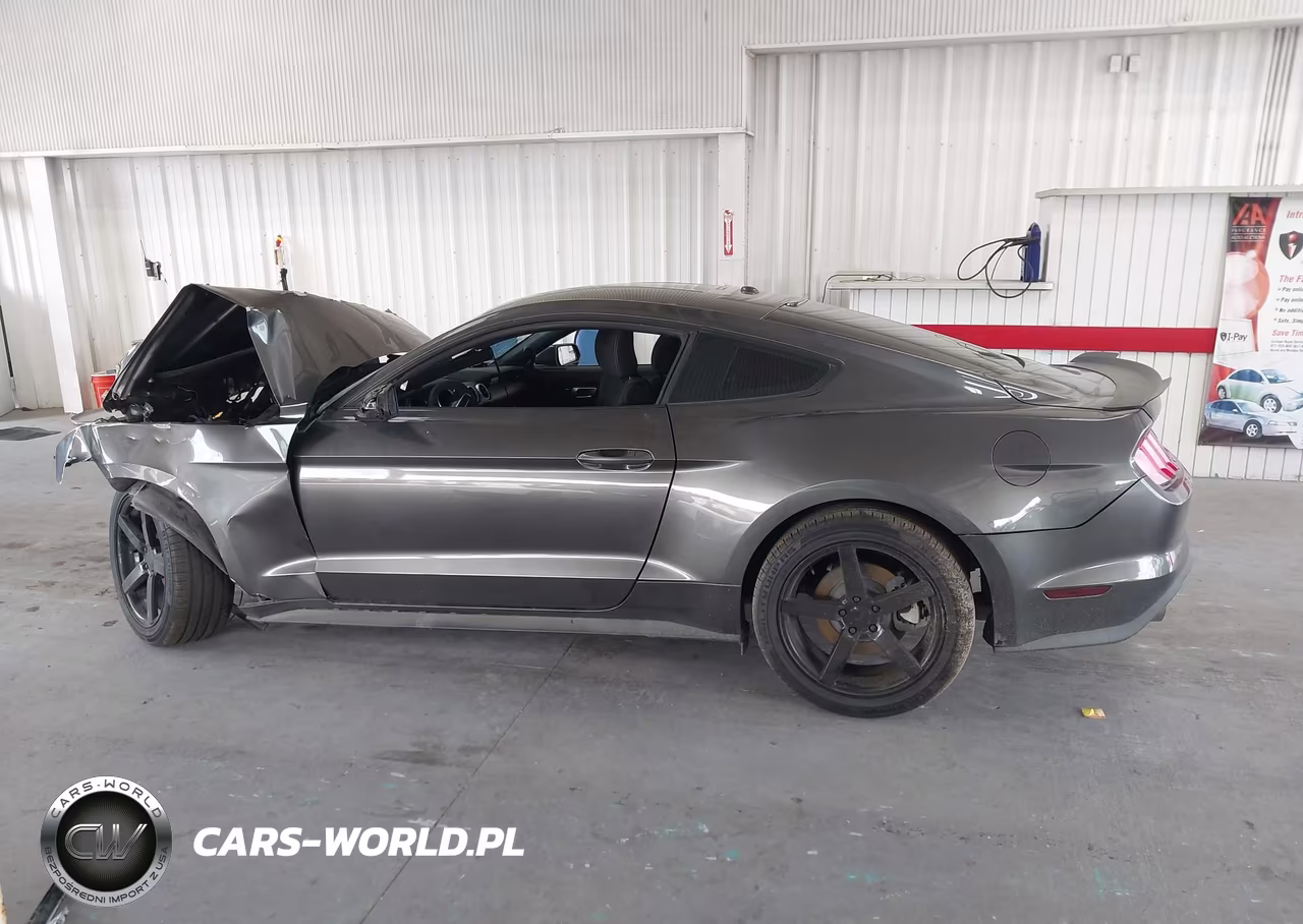 2019 Ford Mustang Ecoboost VIN:1FA6P8TH1K5173432 - 15