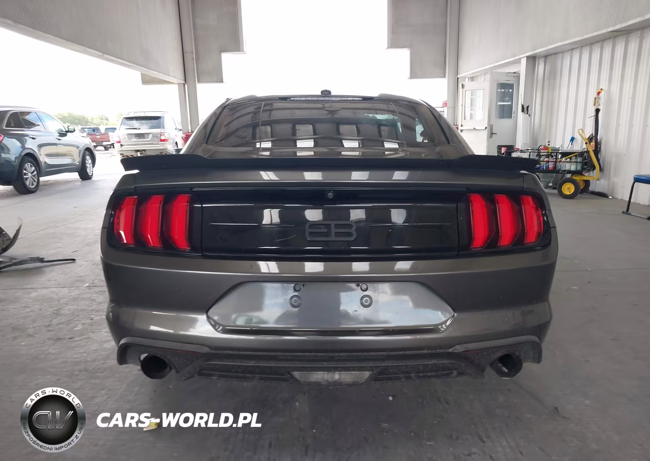 2019 Ford Mustang Ecoboost VIN:1FA6P8TH1K5173432 - 17