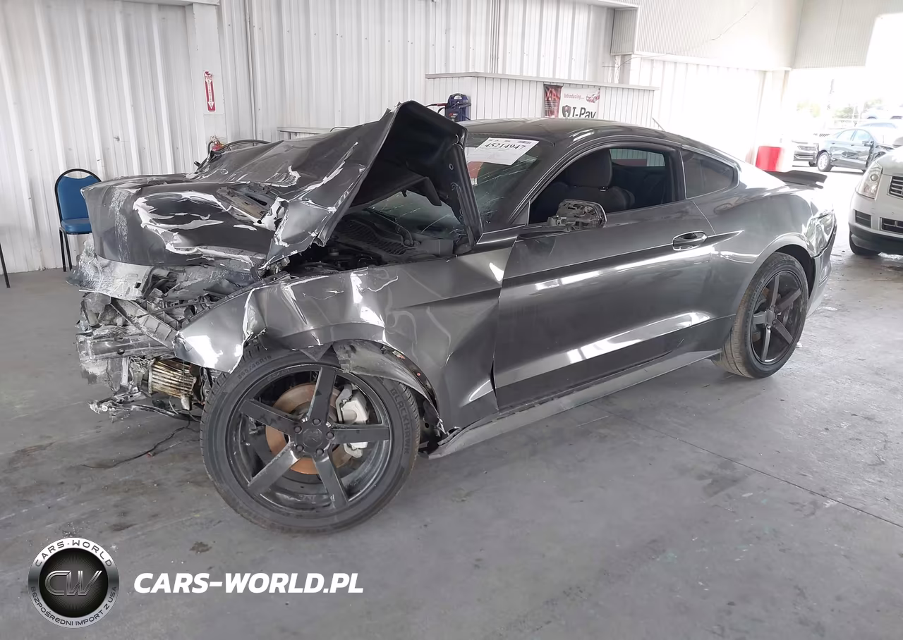 2019 Ford Mustang Ecoboost VIN:1FA6P8TH1K5173432 - 2