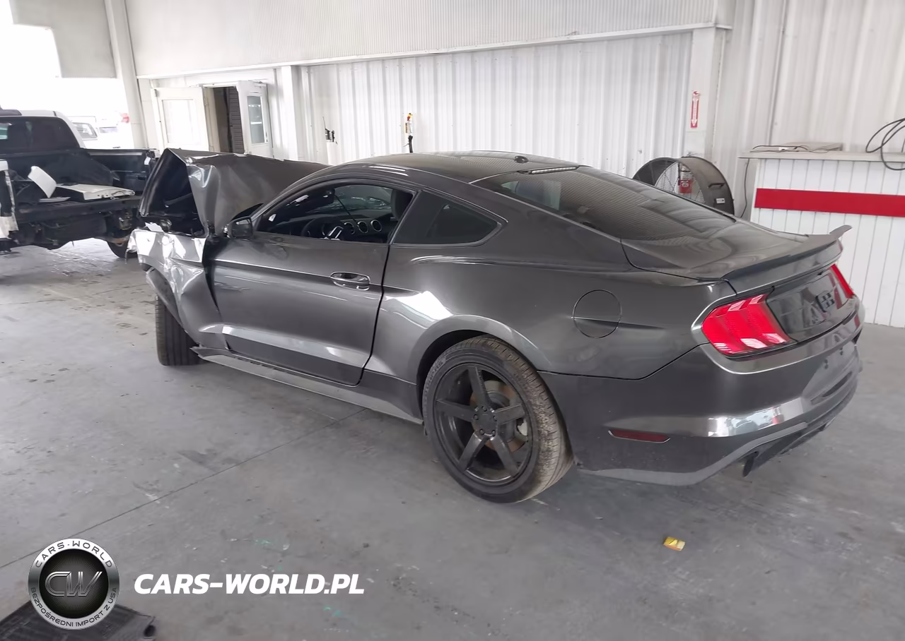 2019 Ford Mustang Ecoboost VIN:1FA6P8TH1K5173432 - 3