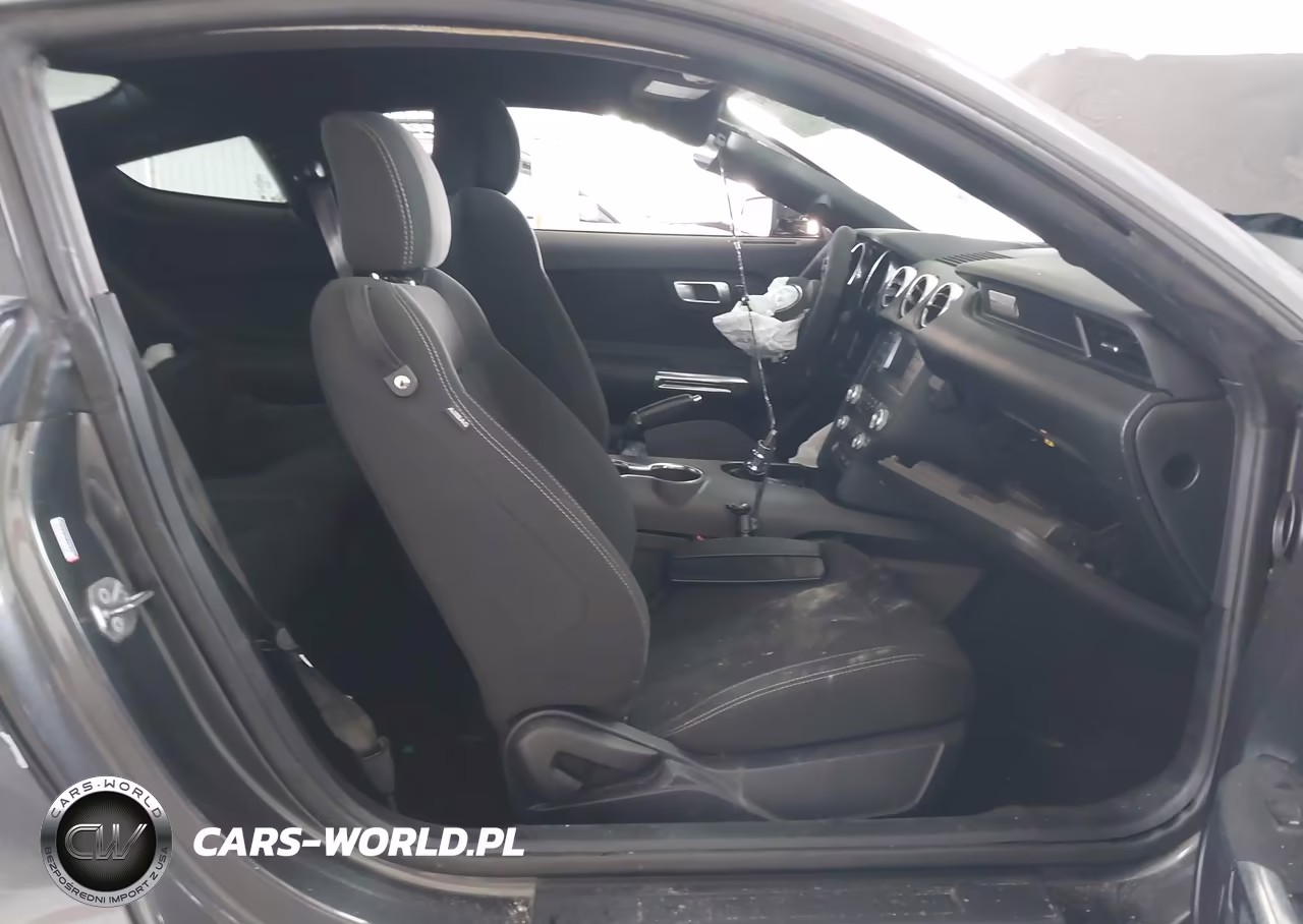 2019 Ford Mustang Ecoboost VIN:1FA6P8TH1K5173432 - 5