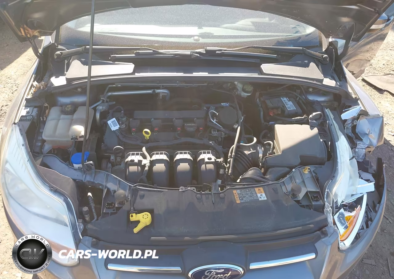2014 Ford Focus Se VIN:1FADP3K21EL288474 - 10