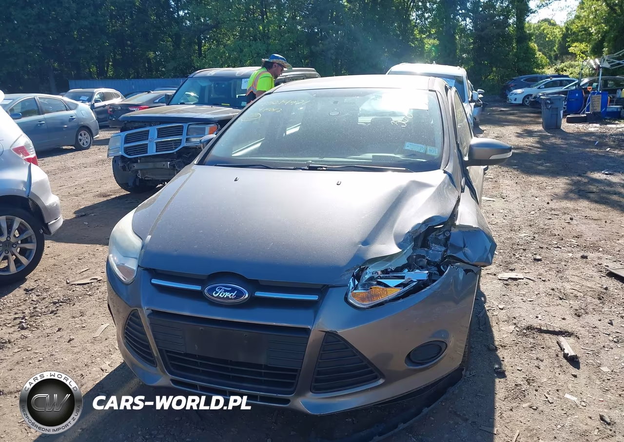 2014 Ford Focus Se VIN:1FADP3K21EL288474 - 12