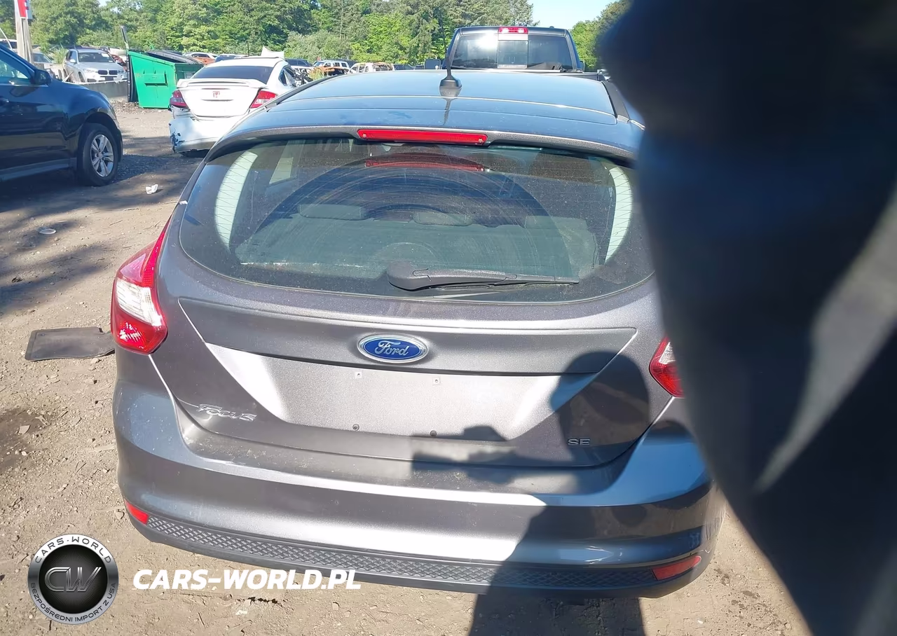 2014 Ford Focus Se VIN:1FADP3K21EL288474 - 16