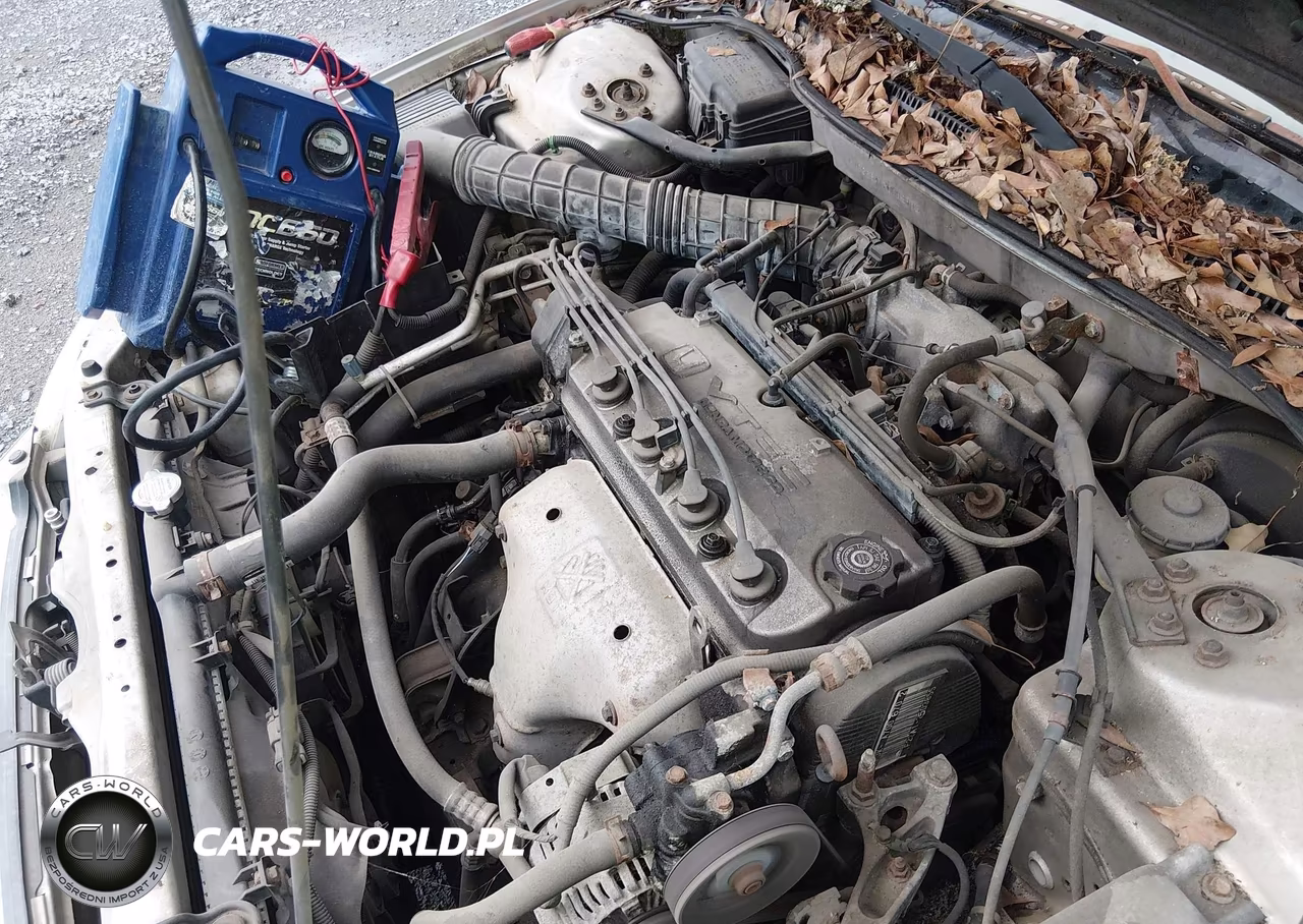 1999 Honda Accord Lx VIN:JHMCG5641XC003903 - 10