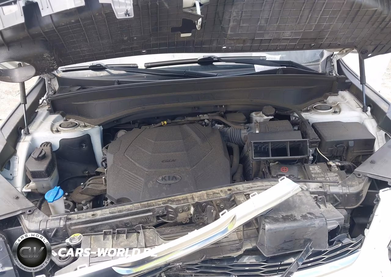 2020 Kia Telluride S VIN:5XYP6DHC6LG006273 - 10