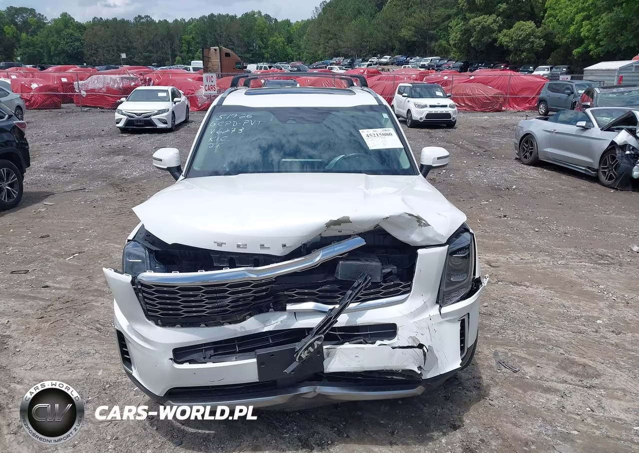 2020 Kia Telluride S VIN:5XYP6DHC6LG006273 - 12