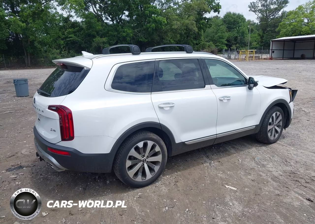 2020 Kia Telluride S VIN:5XYP6DHC6LG006273 - 4