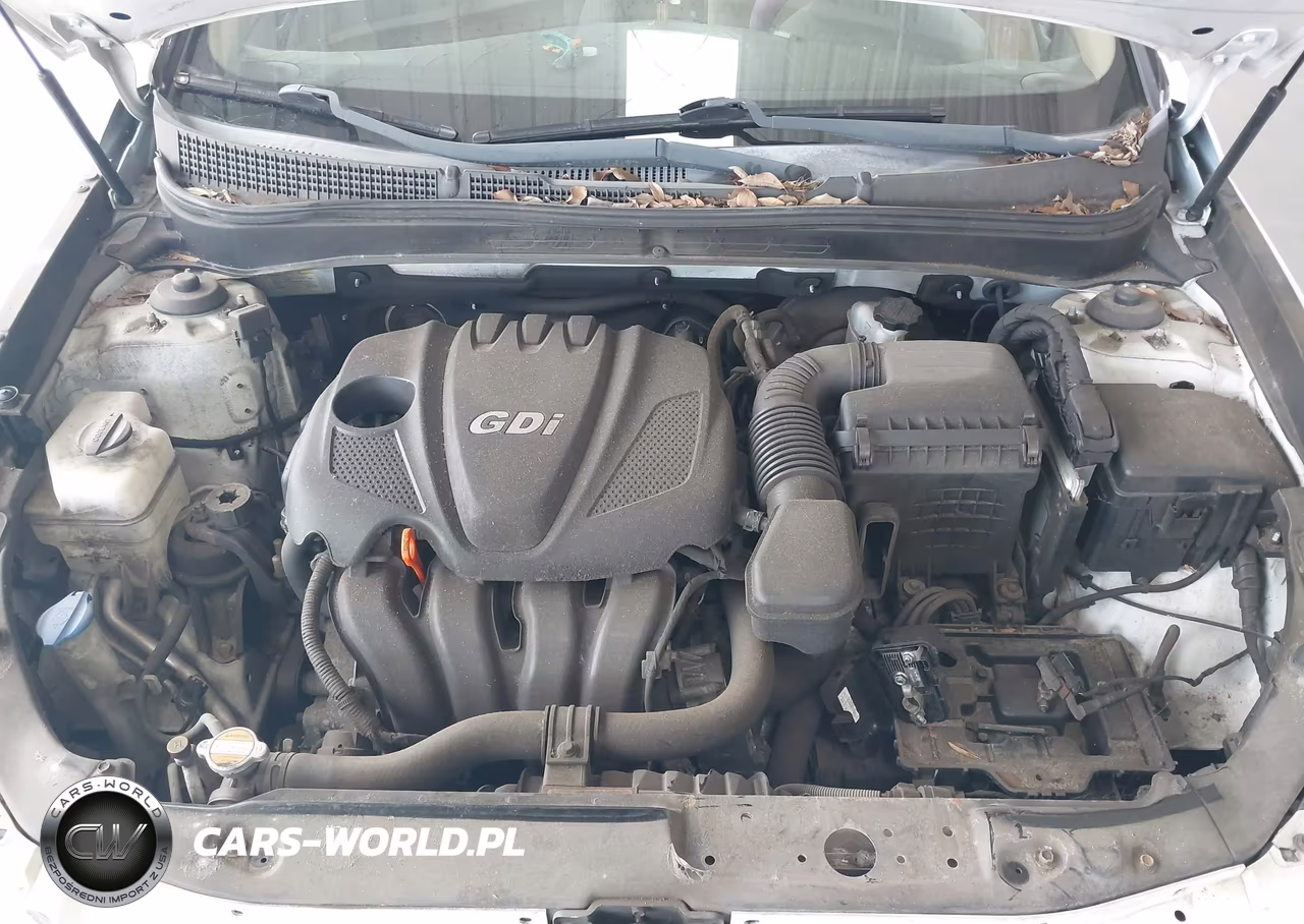 2011 Hyundai Sonata Gls VIN:5NPEB4AC2BH114989 - 10