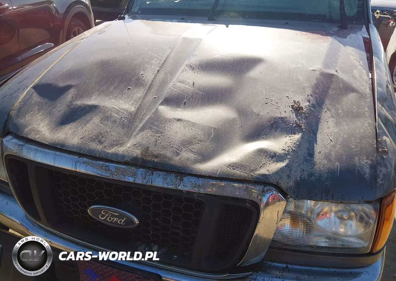 2005 Ford Ranger Edge-Xl-Xlt VIN:1FTZR15EX5PB07109 - 10