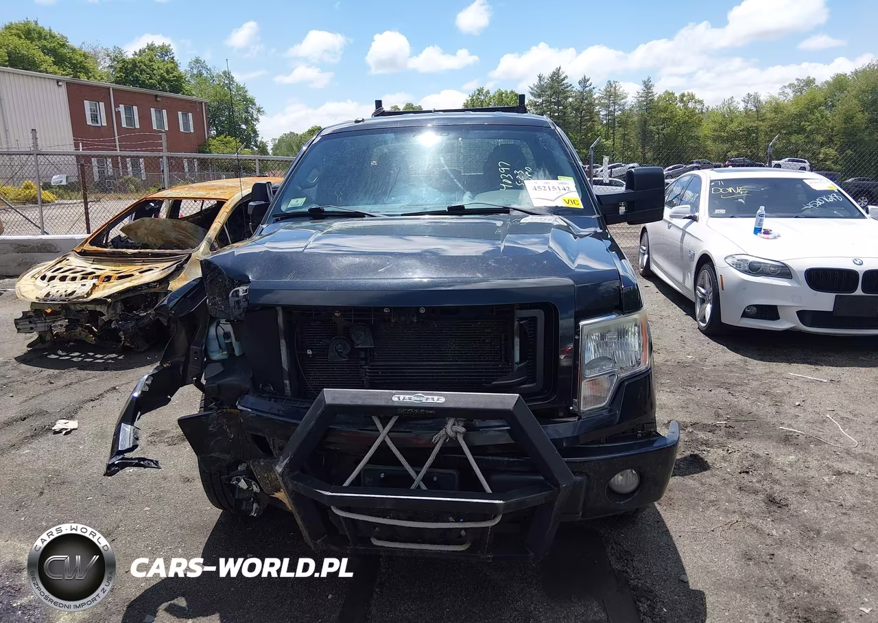 2013 Ford F-150 Stx VIN:1FTFX1EF5DFA07909 - 11
