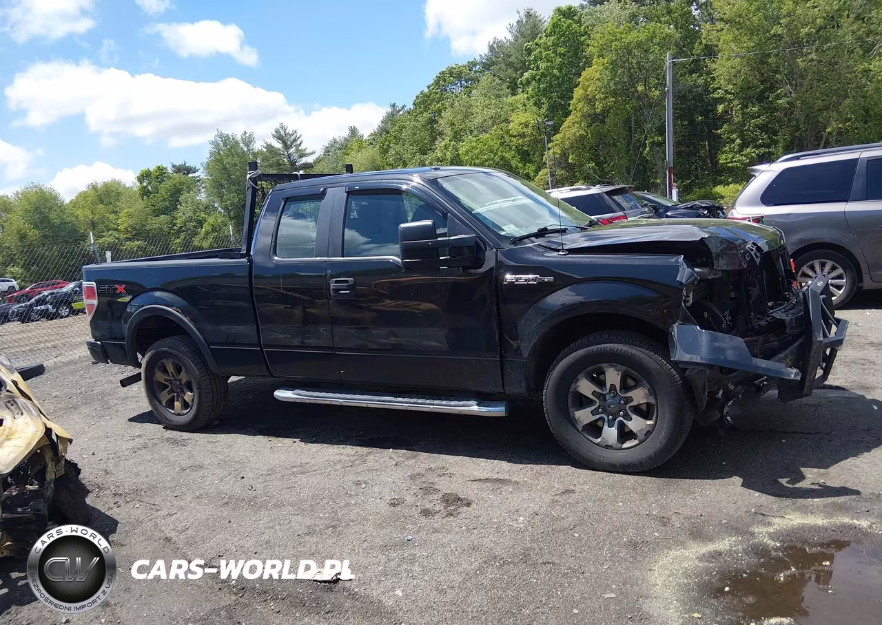 2013 Ford F-150 Stx VIN:1FTFX1EF5DFA07909 - 12
